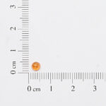 Orange garnet round cabochon 4mm